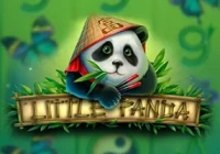Little Panda
